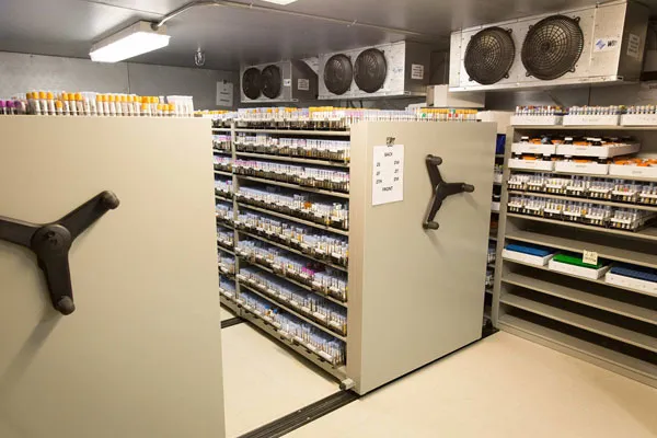 A climate-controlled cold-storage facility inside the South Florida cargo corridor — refrigerated racking, the working environment of perishable and pharmaceutical freight.