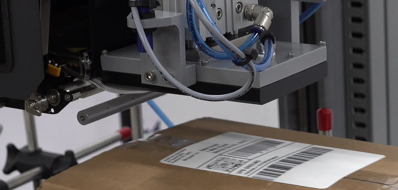 Packed orders staged for carrier pickup, the outbound stage of direct-to-consumer fulfillment.