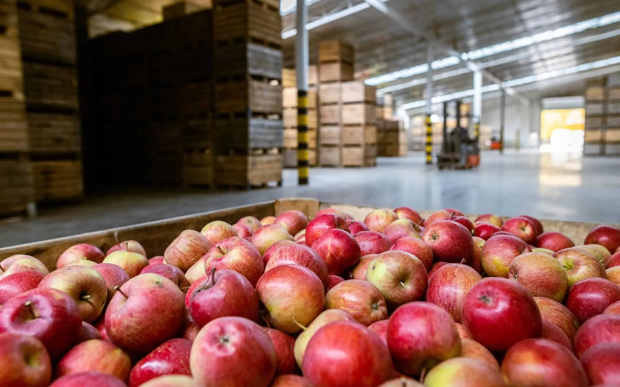Date-coded food freight staged for distribution across Florida and the Southeast.